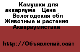 Камушки для аквариума › Цена ­ 200 - Вологодская обл. Животные и растения » Аквариумистика   